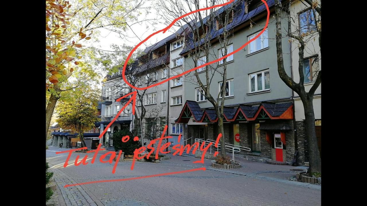 זקופאנה Pokoje Goscinne I Apartamenty Krupowki 19 מראה חיצוני תמונה